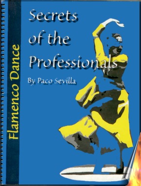 Flamenco book